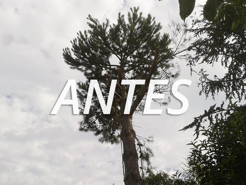 Slide background
